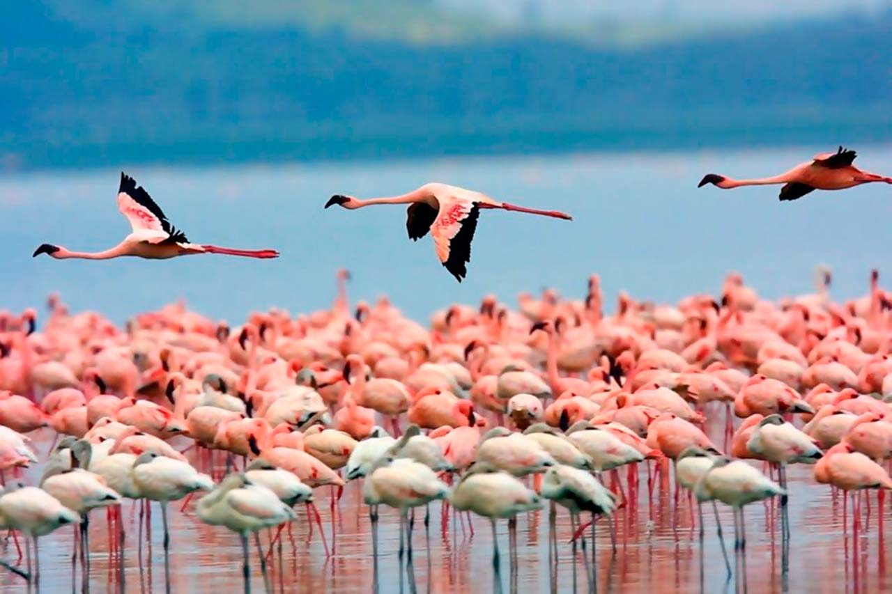Laguna de Pozuelos