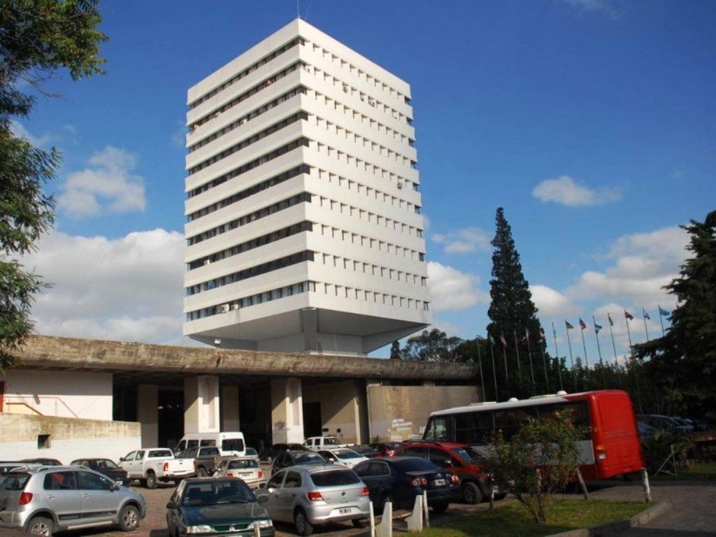 Actividad en Tribunales