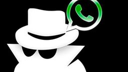WhatsApp permite enviar mensajes sin revelar la identidad. ¿Cómo lograrlo?