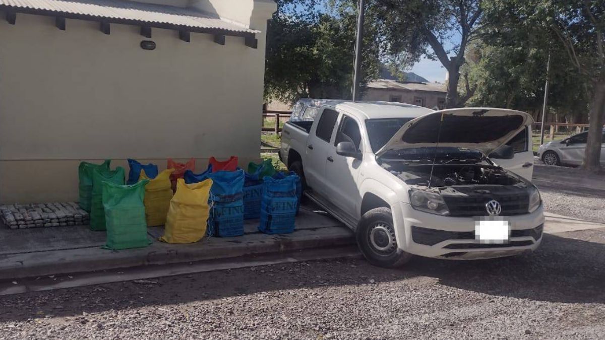 Transportabancasi 400 kilos de hojas de coca por la Ruta 9 (Fotos Gendarmería)