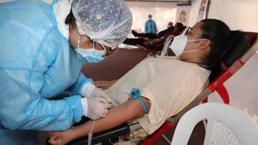 En lo que va del 2022 realizaron casi 3.800 donaciones de sangre