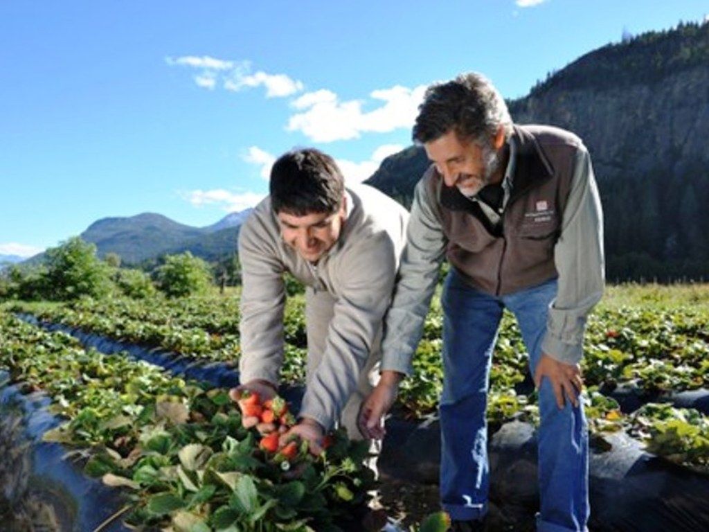 INTAVA - Jornadas en Agrarias
