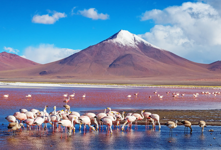 Laguna Colorada muy cerca de Jujuy.