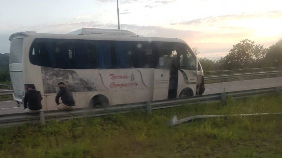 animales sueltos en ruta 9: dos vehiculos chocaron con caballos