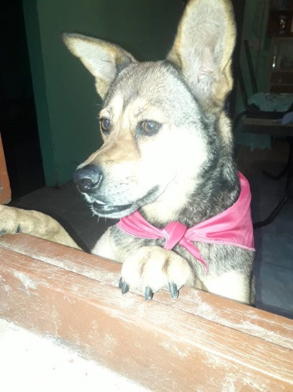 LUCY.jpg