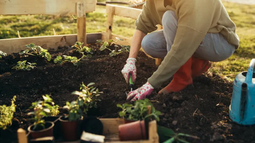 Los 5 trucos de jardinería que posiblemente no conocés.&nbsp;