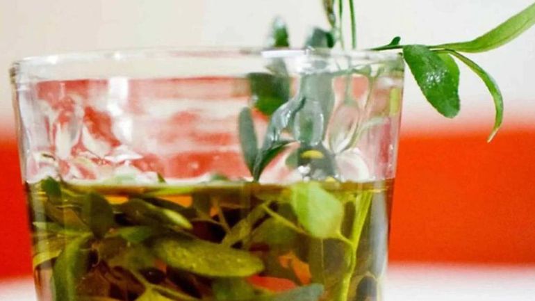 Caña con ruda para la Pachamama