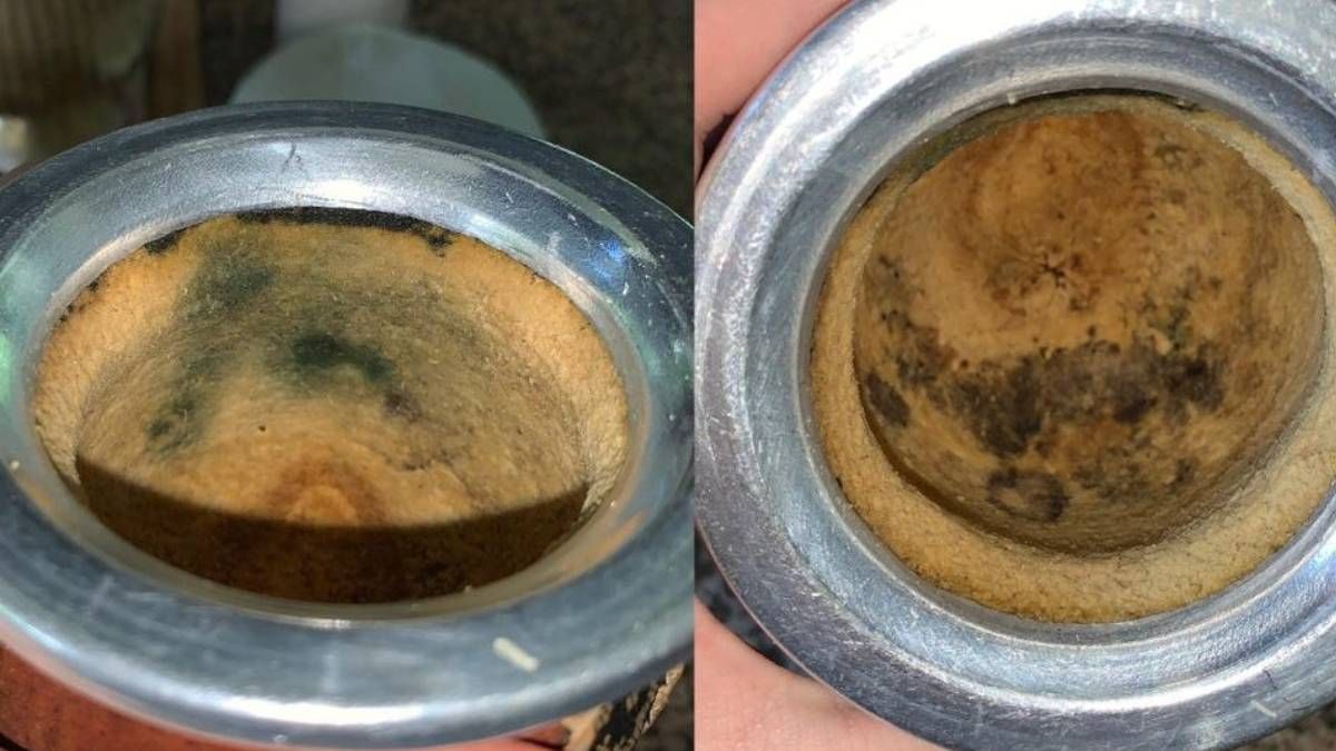 Cómo curar y elegir un buen mate de calabaza o porongo