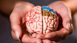 Día Mundial del Cerebro