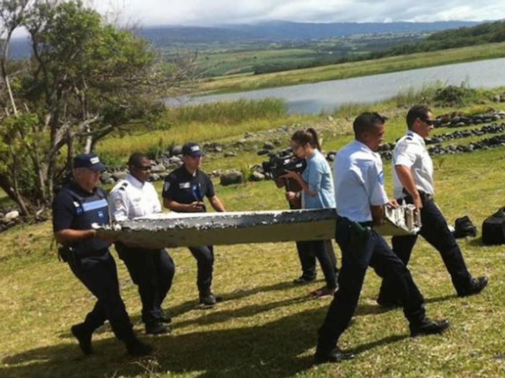 Ala encontrada en la isla de la Reunión