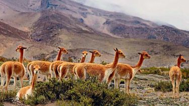 Cieneguillas un lugar increíble de Jujuy