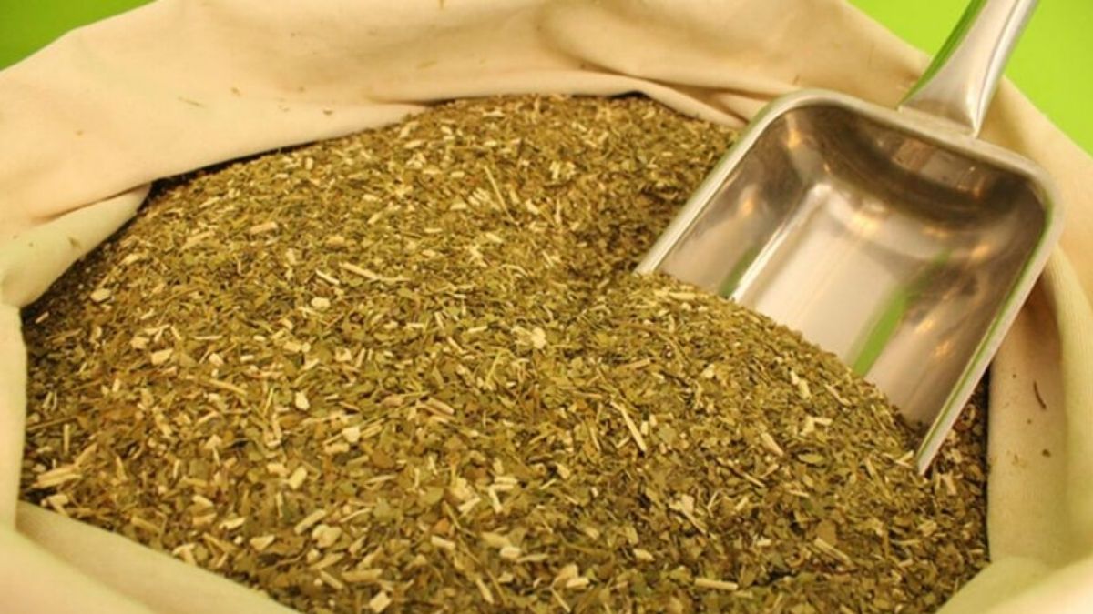 Yerba mate: Gobierno comprará $650 millones&nbsp;
