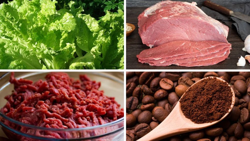 ¿Cuáles fueron los alimentos que más subieron en febrero en Argentina?