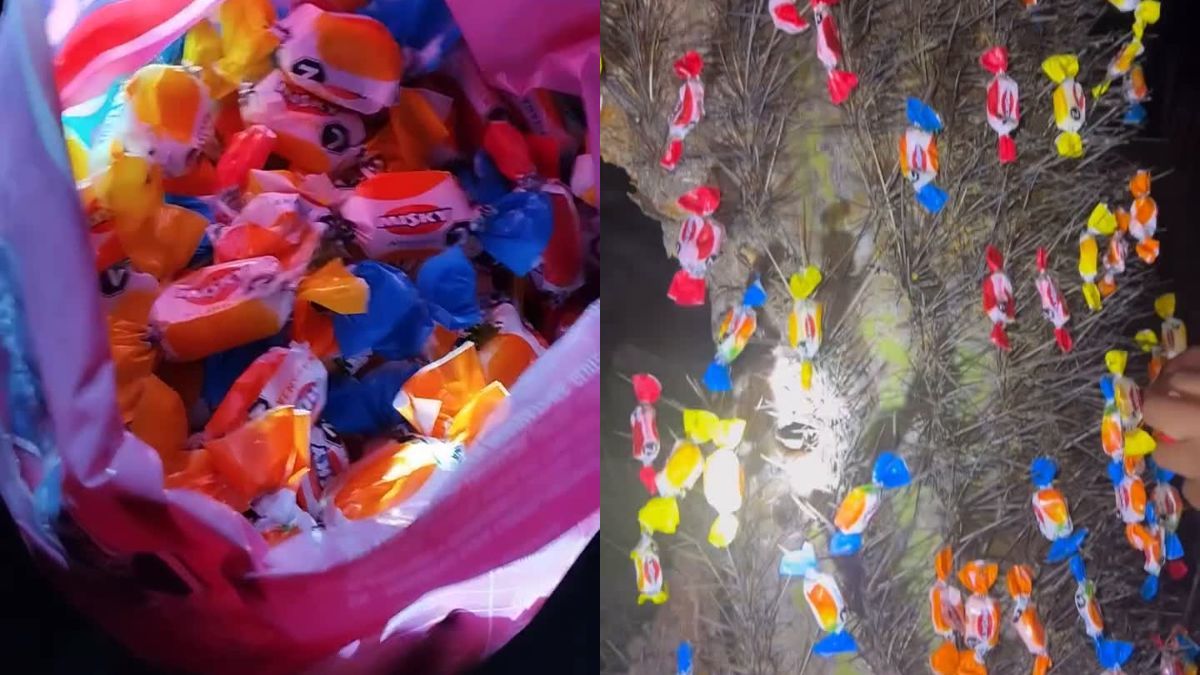 Una familia dejó caramelos en el camino a Punta Corral.