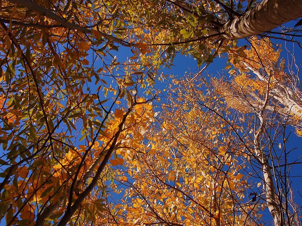 Se adelanta el otoño