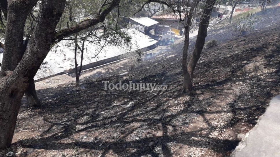 Incendio en las lomas frente a la vieja terminal