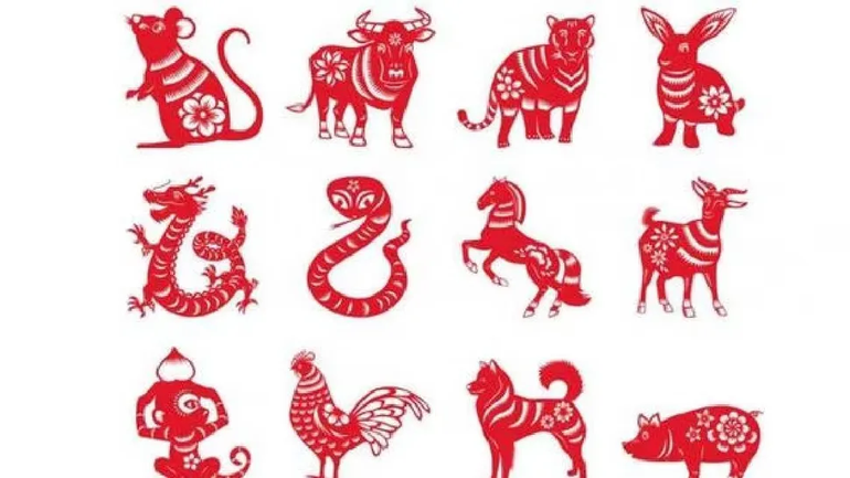 Horóscopo chino: ¿Cuál es la compatibilidad en el amor?