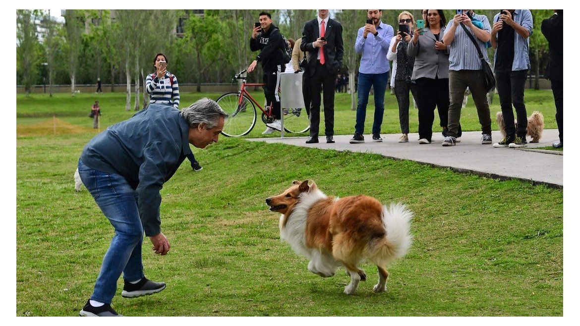 Todo Jujuy | petalos_de_rosas_2C_una_masiva_vuelta_al_perro_y_un_desayuno_contra_la_inflacion_2C_las_perlitas_de_las_elecciones_2019_27102019_clarin_com (1).jpg