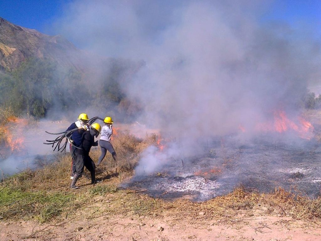 Bomberos en acción