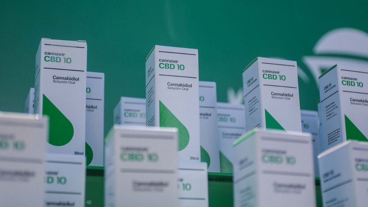 Cannava El Aceite De Cannabis A Las Farmacias En 20 Días 0485