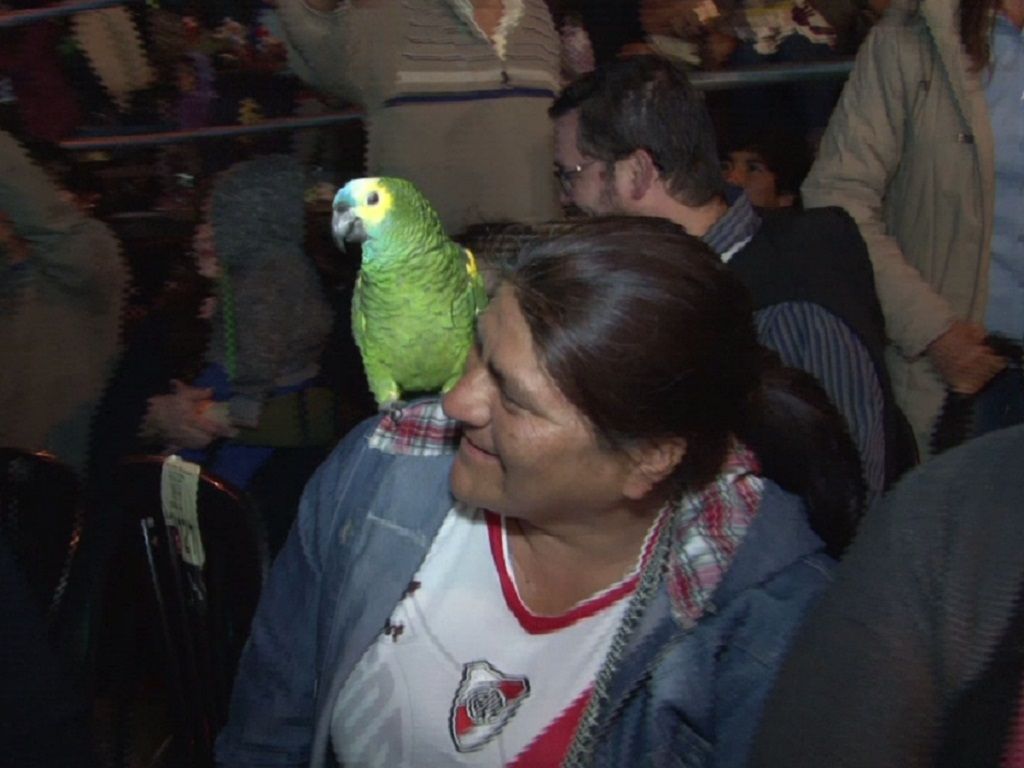 Un loro en el desfile
