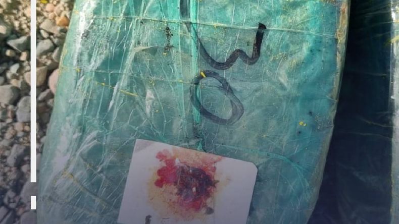 Secuestraron más de 150 kilos de droga y desbaratan una banda que operaba en Jujuy, Salta y Tucumán Secuestraron más de 150 kilos de droga y desbaratan una banda que operaba en Jujuy, Salta y Tucumán