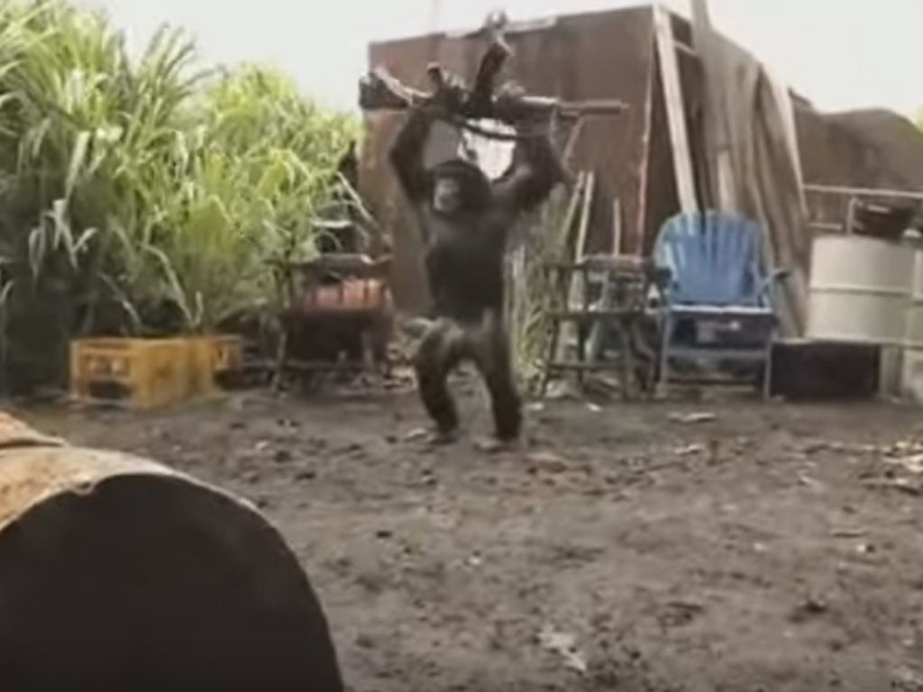 Captura de video