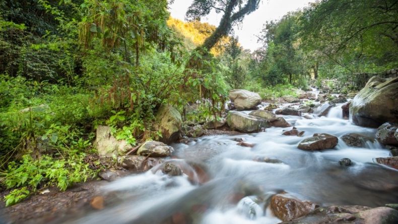 Actividades para realizar en Salta