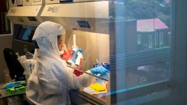 Ómicron daña menos los pulmones y afecta la garganta según estudios.&nbsp;