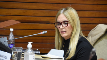 La diputada María Teresa Agostini sostuvo que el FOGIN ratifica un rumbo: la inversión privada como motor del desarrollo y como política de Estado que Jujuy sostiene hace más de una década y hoy muestra resultados concretos.