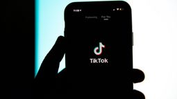 Países Bajos prohibió TikTok en celulares de funcionarios.&nbsp;