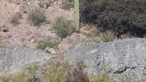 Todo Jujuy | WhatsApp Image 2025-06-07 at 11.42.42.jpeg