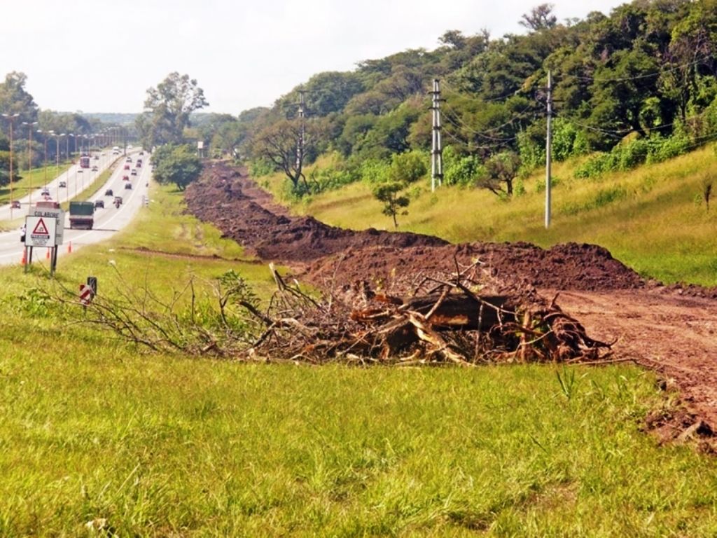 Acciones en ruta 66