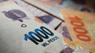 Salario Mínimo Vital y Móvil.