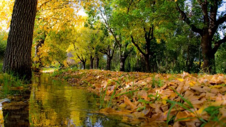 Mendoza ocupa un lugar destacado entre los sitios elegidos para hacer unas escapadas