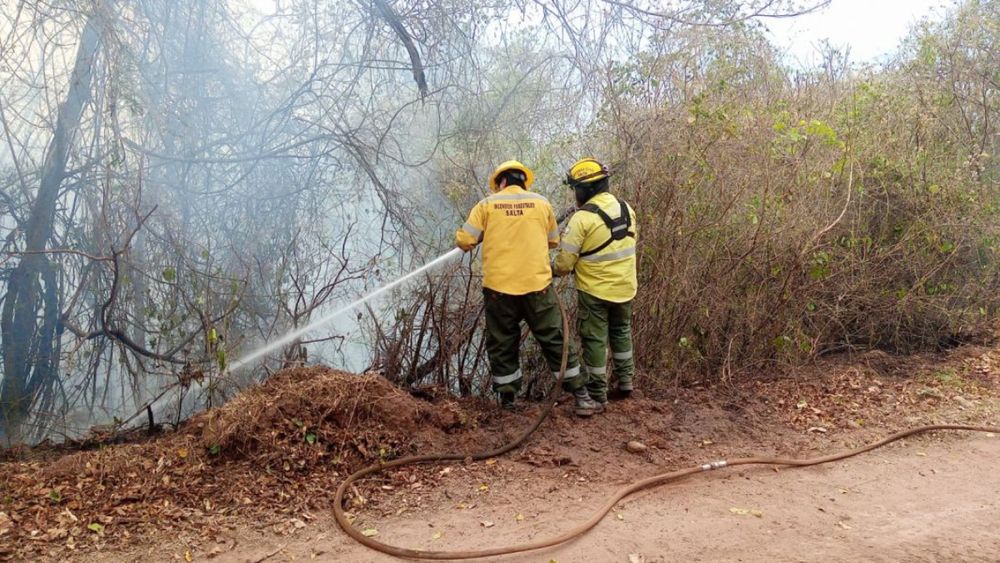 Brigadistas jujeños colaboran en los incendios forestales de Salta