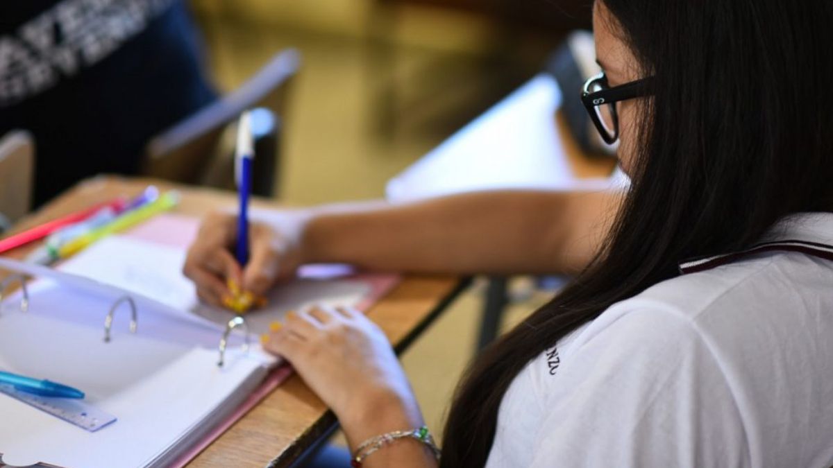 Lineas de las Becas Progresar