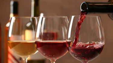 Distintos tipos de vinos
