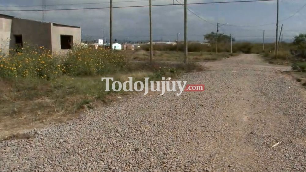 Denuncian que una vecina envenenó y mató a 7 perros en Palpalá