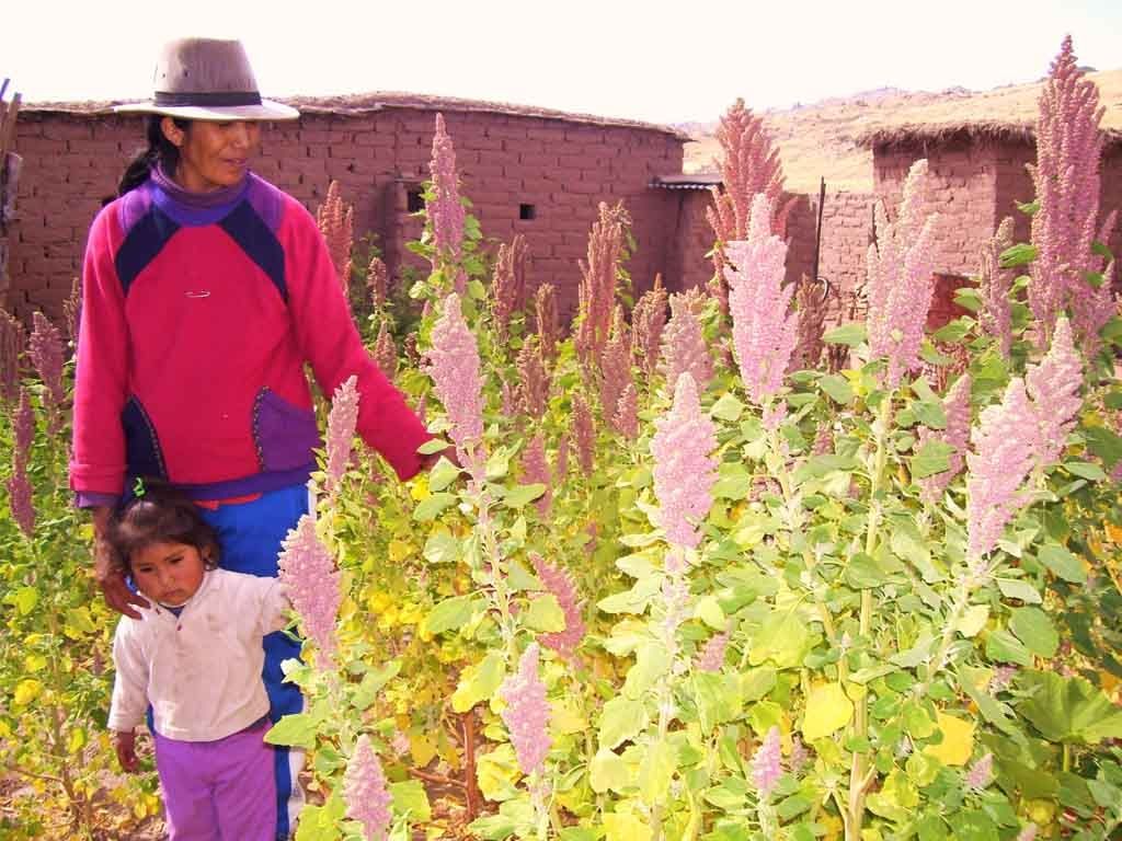 5to Congreso Internacional de Quinoa