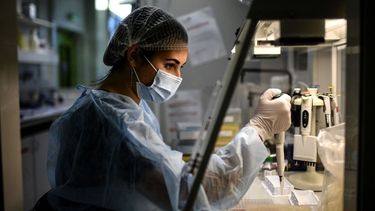 Descubren una nueva variante de Covid en Francia.&nbsp;