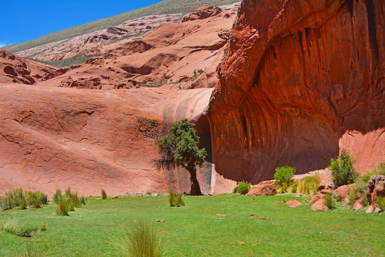 Inca Cueva, Jujuy.