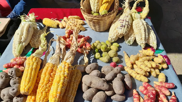 Productos jujeños en la feria MAPPA de Buenos Aires.