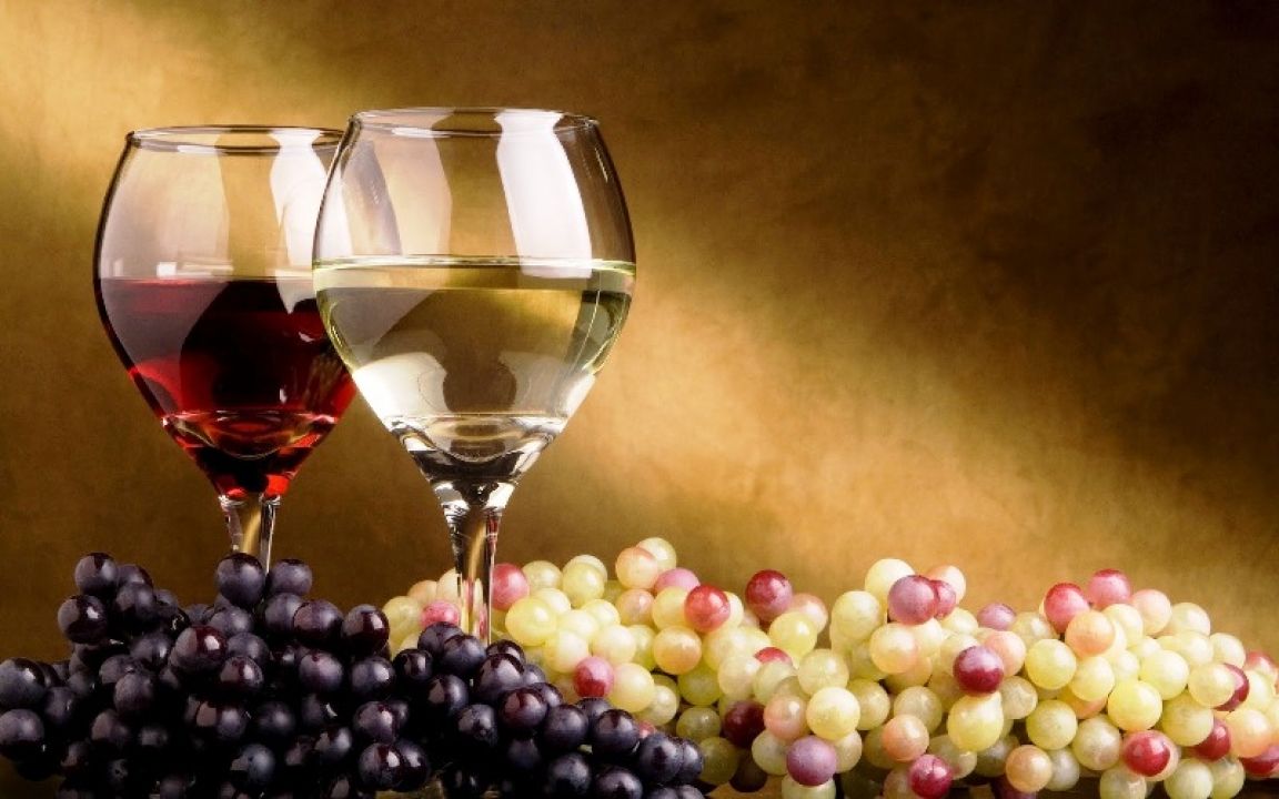 Argentina tierra de vinos