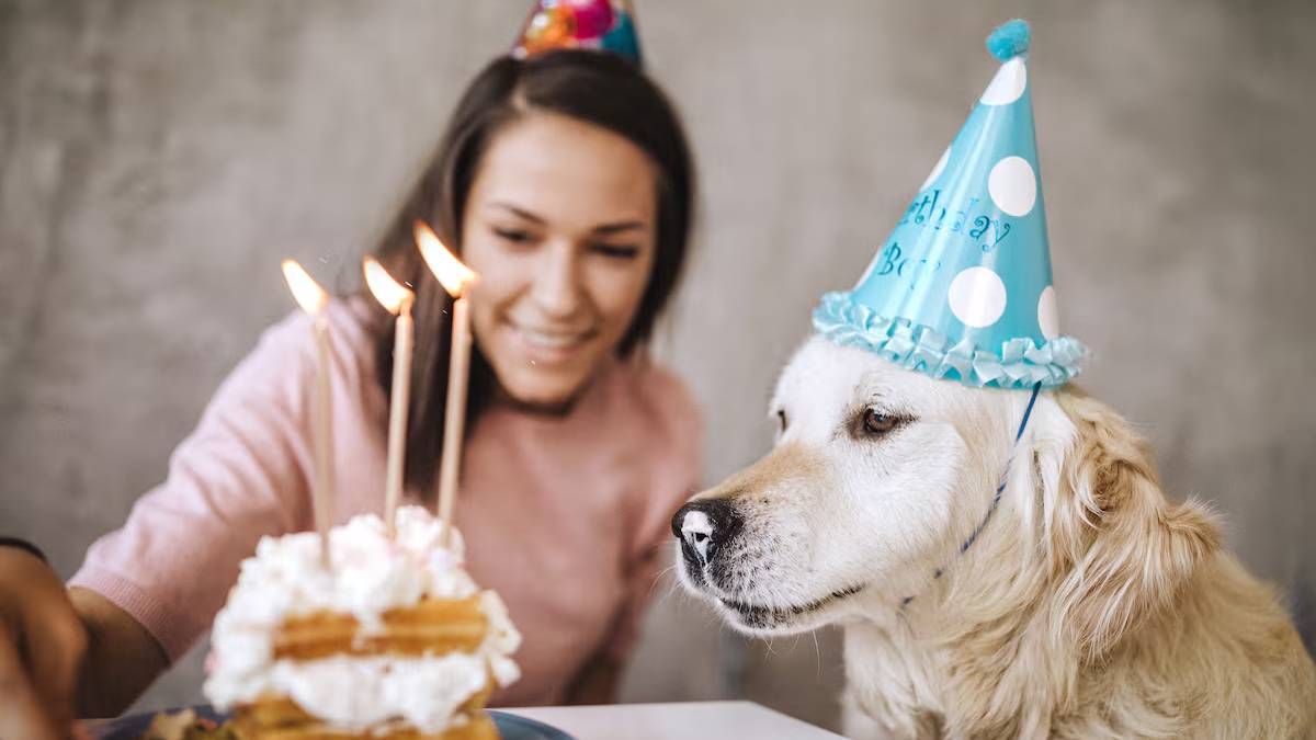 de la domesticacion a la familia multiespecie: el rol del perro en nuestra sociedad
