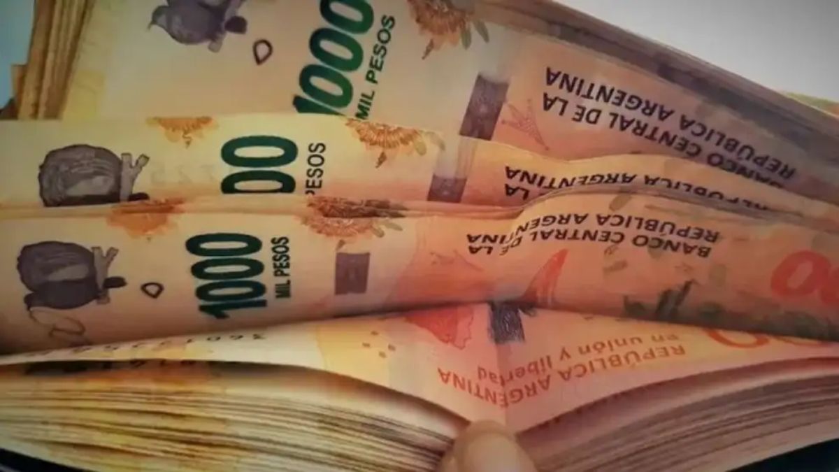 ANSES oficializó el calendario de pago del medio aguinaldo de diciembre.