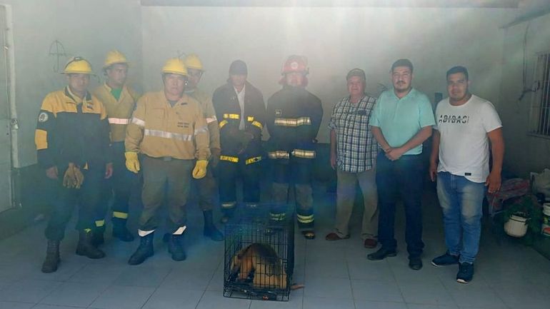 Foto de la Municipalidad de Libertador General San Martín