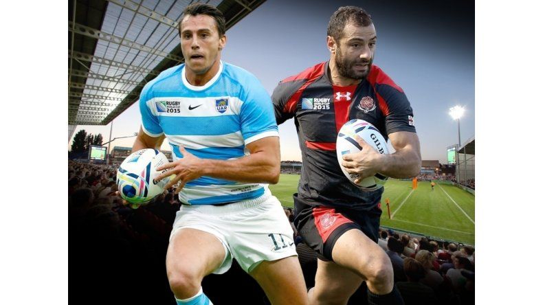 Pumas - Georgia