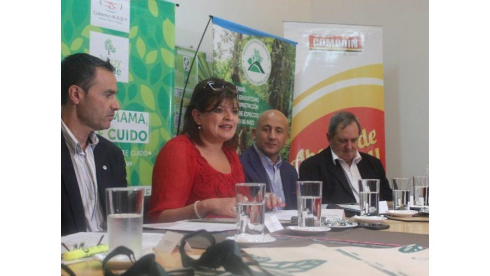 Lanzamiento de la campaña
