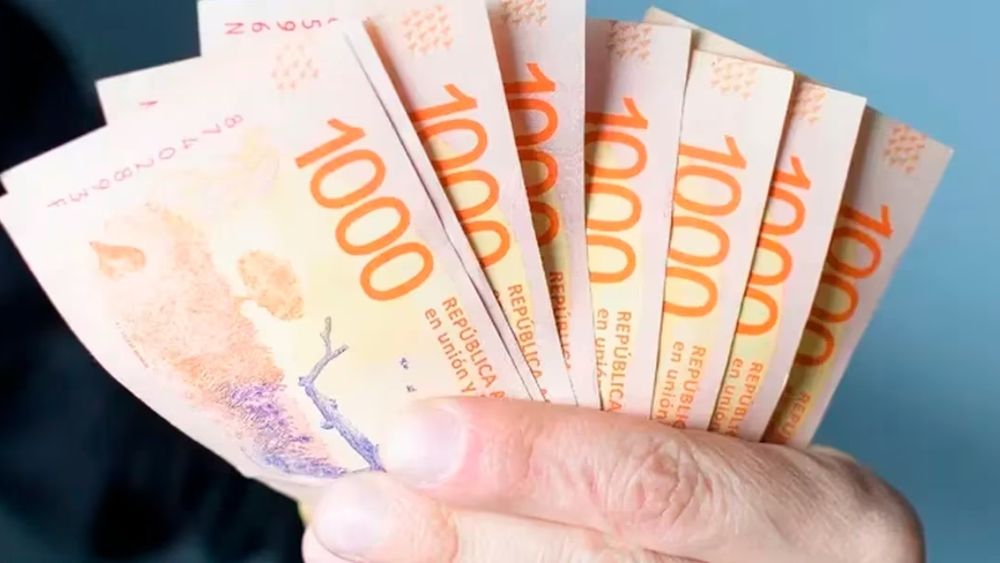 Salario Mínimo Vital y Móvil